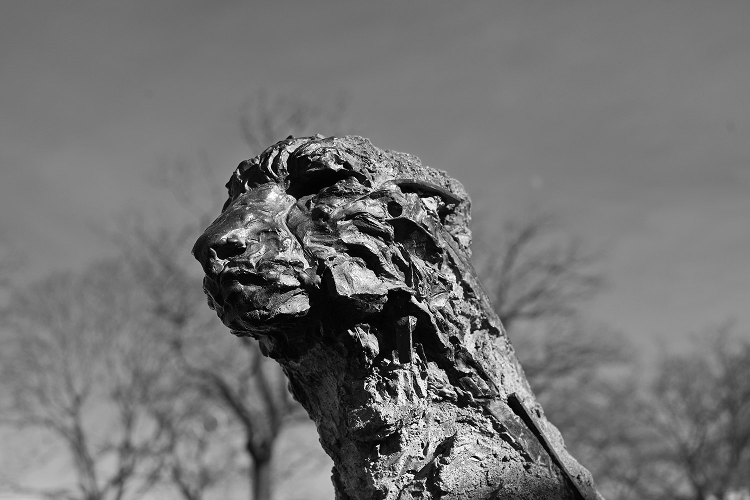 DSC_5191b statue statue